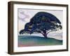 The Bonaventure Pine, 1893 (Oil on Canvas)-Paul Signac-Framed Giclee Print