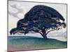 The Bonaventure Pine, 1893 (Oil on Canvas)-Paul Signac-Mounted Giclee Print