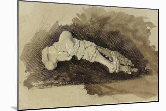 The Bones of a Female Human's Foot (Pencil with W/C and Bodycolour on Paper)-John Ruskin-Mounted Giclee Print