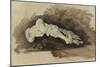 The Bones of a Female Human's Foot (Pencil with W/C and Bodycolour on Paper)-John Ruskin-Mounted Giclee Print