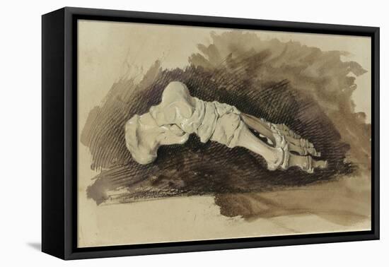 The Bones of a Female Human's Foot (Pencil with W/C and Bodycolour on Paper)-John Ruskin-Framed Stretched Canvas