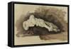 The Bones of a Female Human's Foot (Pencil with W/C and Bodycolour on Paper)-John Ruskin-Framed Stretched Canvas