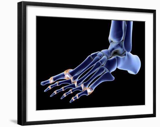 The Bones of the Foot-PASIEKA-Framed Photographic Print