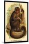 The Bonnetted Capuchin-G.r. Waterhouse-Mounted Art Print