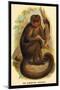 The Bonnetted Capuchin-G.r. Waterhouse-Mounted Art Print
