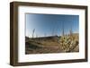 The Boojum-Louise Murray-Framed Photographic Print