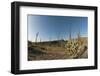 The Boojum-Louise Murray-Framed Photographic Print