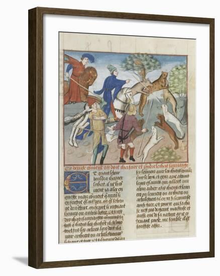 The Book of Gaston Phoebus Hunting: Hunting Wild Cats-null-Framed Giclee Print