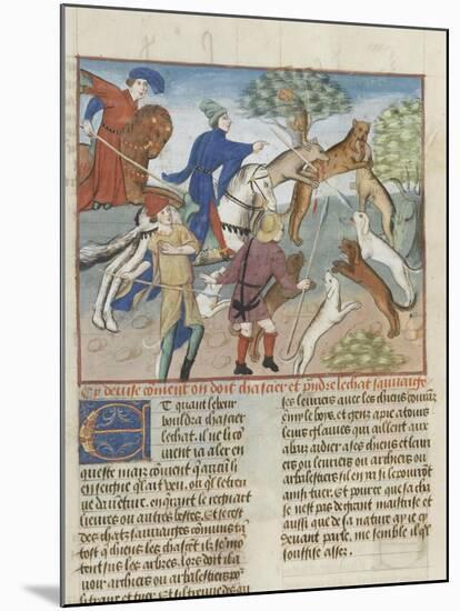 The Book of Gaston Phoebus Hunting: Hunting Wild Cats-null-Mounted Giclee Print