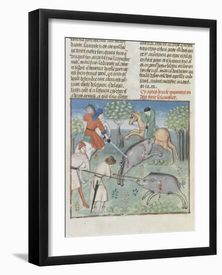 The Book of Gaston Phoebus Hunting: Killing the Boar-null-Framed Giclee Print