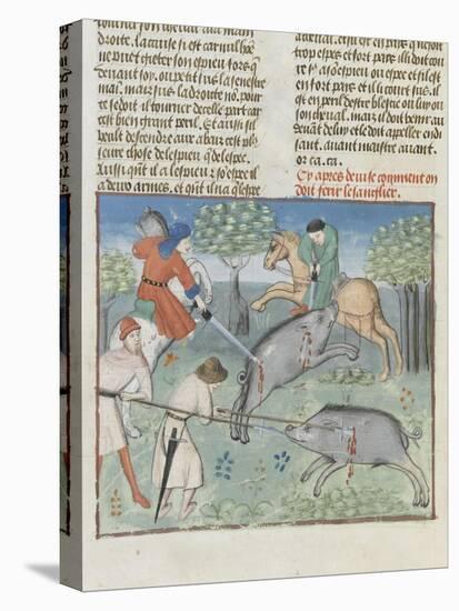 The Book of Gaston Phoebus Hunting: Killing the Boar-null-Stretched Canvas