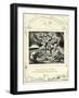 The Book of Job 2: 7 Illustrated by William Blake-William Blake-Framed Giclee Print