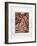 The Book of Job illustrations by William Blake-William Blake-Framed Giclee Print