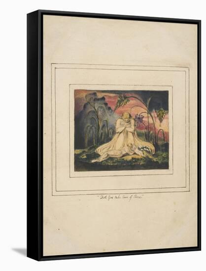 The Book of Thel Pl. 6-William Blake-Framed Stretched Canvas