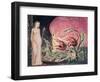 The Book of Thel: Title Page, 1794-William Blake-Framed Giclee Print