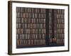 The Book Worm-Rebecca Campbell-Framed Giclee Print