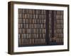 The Book Worm-Rebecca Campbell-Framed Giclee Print