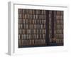 The Book Worm-Rebecca Campbell-Framed Giclee Print