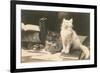 The Bookkeepers, Cats on Desk-null-Framed Art Print