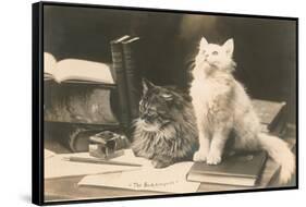 The Bookkeepers, Cats on Desk-null-Framed Stretched Canvas