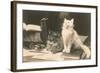 The Bookkeepers, Cats on Desk-null-Framed Art Print