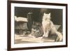 The Bookkeepers, Cats on Desk-null-Framed Premium Giclee Print