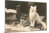 The Bookkeepers, Cats on Desk-null-Mounted Premium Giclee Print