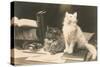 The Bookkeepers, Cats on Desk-null-Stretched Canvas