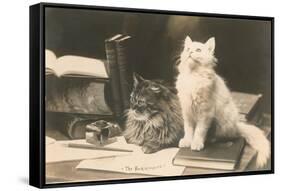 The Bookkeepers, Cats on Desk-null-Framed Stretched Canvas