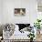 The Bookkeepers, Cats on Desk-null-Stretched Canvas displayed on a wall