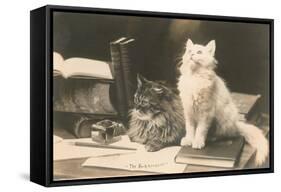 The Bookkeepers, Cats on Desk-null-Framed Stretched Canvas