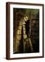 Brown Frame