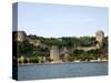 The Bosporus, Istanbul, Turkey, Europe-null-Stretched Canvas