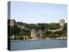 The Bosporus, Istanbul, Turkey, Europe-null-Stretched Canvas