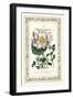 The Botanic Garden I-Vision Studio-Framed Art Print