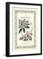 The Botanic Garden II-Vision Studio-Framed Art Print