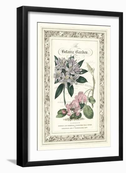 The Botanic Garden II-Vision Studio-Framed Art Print