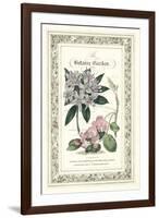 The Botanic Garden II-Vision Studio-Framed Art Print