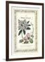 The Botanic Garden II-Vision Studio-Framed Art Print