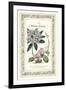 The Botanic Garden II-Vision Studio-Framed Art Print