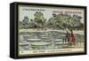 The Botanical Gardens, Calcutta, India-null-Framed Stretched Canvas