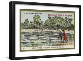 The Botanical Gardens, Calcutta, India-null-Framed Giclee Print