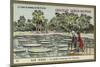The Botanical Gardens, Calcutta, India-null-Mounted Giclee Print