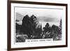 The Botanical Gardens, Hobart, Tasmania, 1928-null-Framed Giclee Print