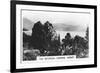 The Botanical Gardens, Hobart, Tasmania, 1928-null-Framed Giclee Print