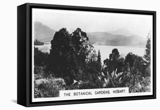 The Botanical Gardens, Hobart, Tasmania, 1928-null-Framed Stretched Canvas