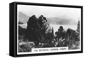 The Botanical Gardens, Hobart, Tasmania, 1928-null-Framed Stretched Canvas