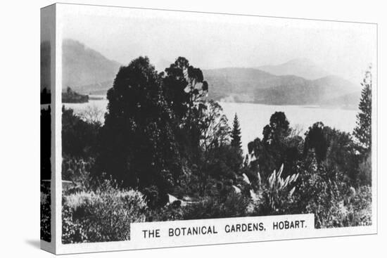 The Botanical Gardens, Hobart, Tasmania, 1928-null-Stretched Canvas