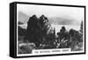 The Botanical Gardens, Hobart, Tasmania, 1928-null-Framed Stretched Canvas