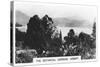 The Botanical Gardens, Hobart, Tasmania, 1928-null-Stretched Canvas